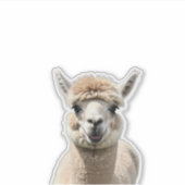 Fluff & Friendship Sticker (Voorkant)