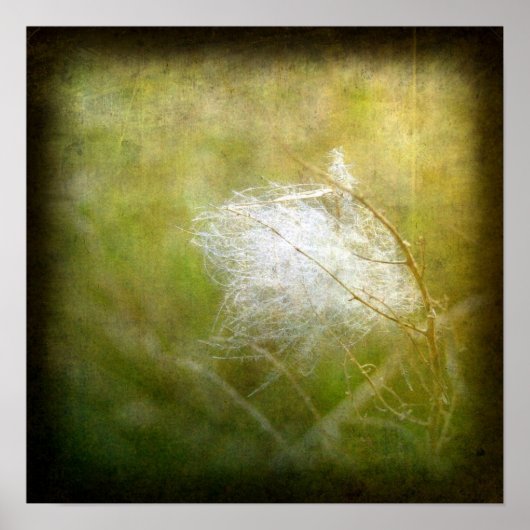 Fluff Poster (Voorkant)