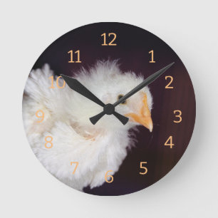 Fluff Ronde Klok