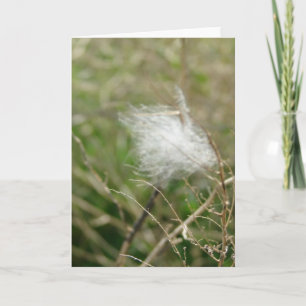 Fluff voor alle gelegenheden kaart
