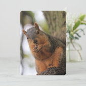 Fluffkin Kaart (Staand voorkant)