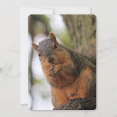 Fluffkin Kaart (Voorkant)