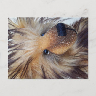 Fluffy Beer Briefkaart