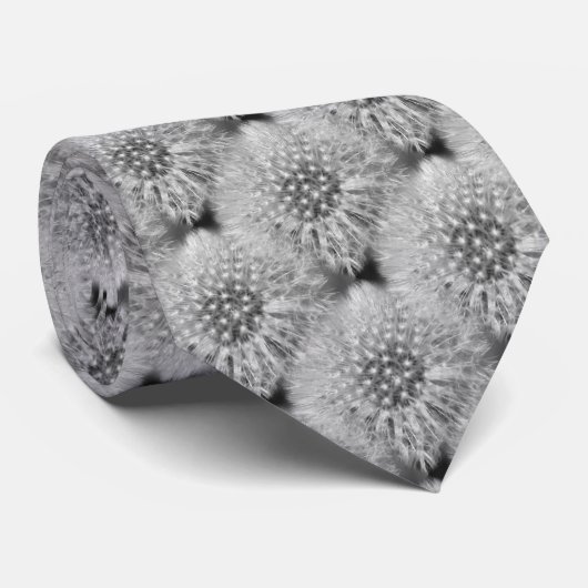 Fluffy Black en White Dandelions Natuur Stropdas (Opgerold)