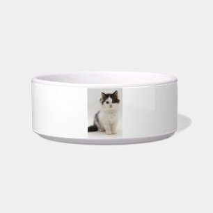 Fluffy Black en White Kitten Cat Pet Bowl Voerbakje