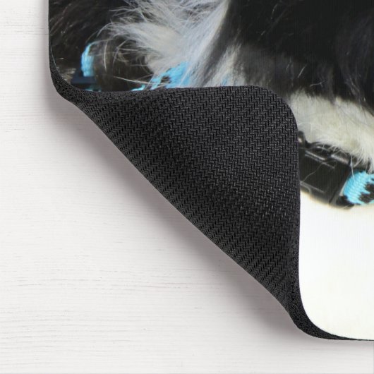 Fluffy Black en White Lionhead Bunny Rabbit Muismat (Hoek)