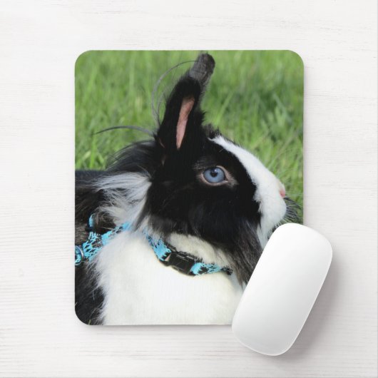 Fluffy Black en White Lionhead Bunny Rabbit Muismat (Met muis)