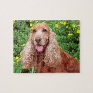 Fluffy Brown Dog Legpuzzel