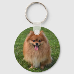 Fluffy bruine Pomeranian puppy hond Sleutelhanger