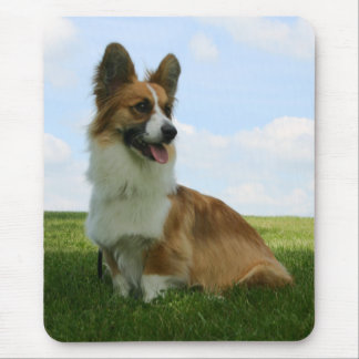 Fluffy Cardigan Welsh Corgi Muismat