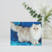 Fluffy Cat Briefkaart (Staand voorkant)