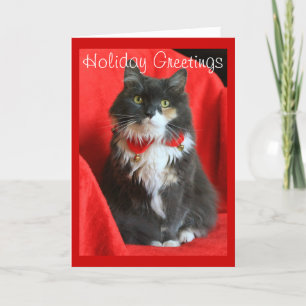 Fluffy Cat Dragen Kerstkraag - Kaart