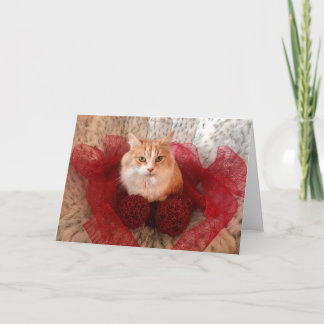 Fluffy Cat et Red Ribbon Carte de voeux