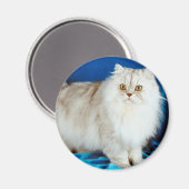 Fluffy Cat Magneet (Voorkant / Achterkant)