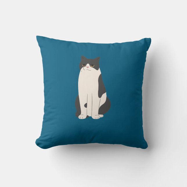 Fluffy Cat Pillow Blauwgroen Kussen (Voorkant)