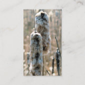 Fluffy Cattails Carte de visite de photographie de (Dos)