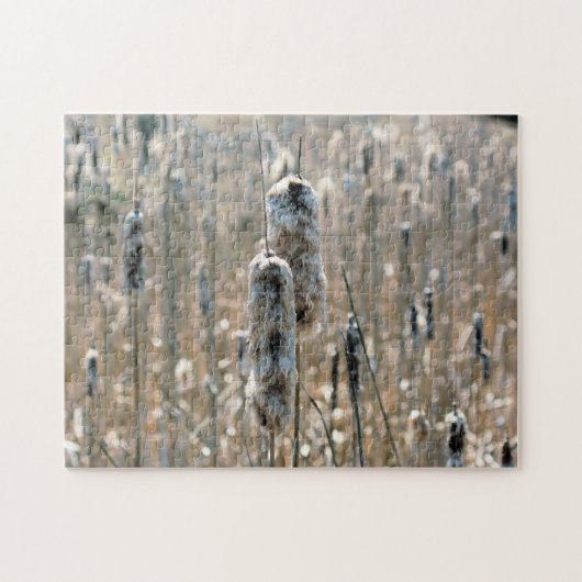 Fluffy Cattails in de Natuur van de lente Legpuzzel (Horizontaal)