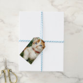 Fluffy christmas cat Watercolor Cadeaulabel (Met Touw)