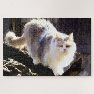 Fluffy Dilute Calico Maine Coon Cat Legpuzzel