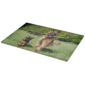 Fluffy German Shepherd Dog and Puppy Snijplank (Hoek)