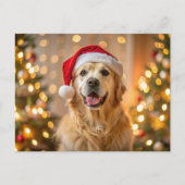 Fluffy golden retriever met een rode kerstmuts feestdagenkaart (Voorkant)