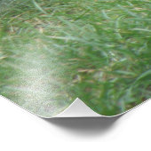 Fluffy Gray Squirrel Foto afdrukken Afdruk (Hoek)