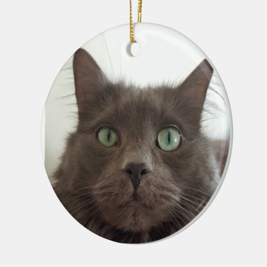 Fluffy Grey cat Keramisch Ornament (Links)