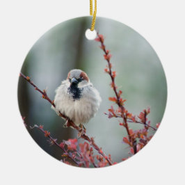 Fluffy Grump Keramisch Ornament