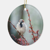 Fluffy Grump Keramisch Ornament (Links)