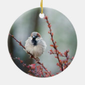 Fluffy Grump Keramisch Ornament (Achterkant)