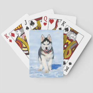 Fluffy Husky Puppy loopt in de sneeuw Pokerkaarten