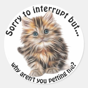 Fluffy Kat Funny Pet Me Quote Ronde Sticker