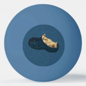 Fluffy Kitten die in een steegschoen slapen, pinge Pingpongballen (Achterkant)