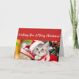 Fluffy Kitten Kerst Kaart