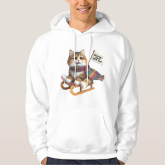 Fluffy Kitten Sneeuwdag op slee, Cute Kat in Sjaal Hoodie
