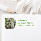 Fluffy Koala Mailing Labels (Insitu)