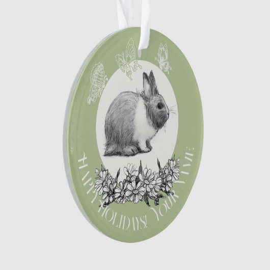 Fluffy le lapin (devant)