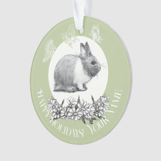 Fluffy le lapin (devant)