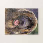 Fluffy Leonberger dog Legpuzzel (Horizontaal)