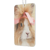 Fluffy Lionhead Bunny Rabbit Luchtverfrisser (Links)