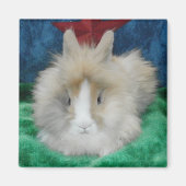 Fluffy Lionhead Bunny Rabbit Magneet (Voorkant)