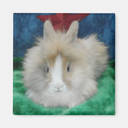 Fluffy Lionhead Bunny Rabbit Magneet (Voorkant)