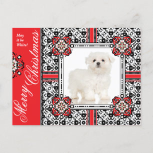 Fluffy Little Dog wenst je een witte kerst Feestdagenkaart