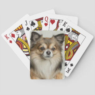 Fluffy Long Hazard Chihuahua Puppy Dog Pokerkaarten