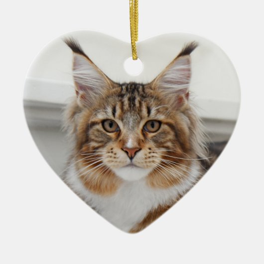 Fluffy Maine Coon Cat Keramisch Ornament (Voorkant)