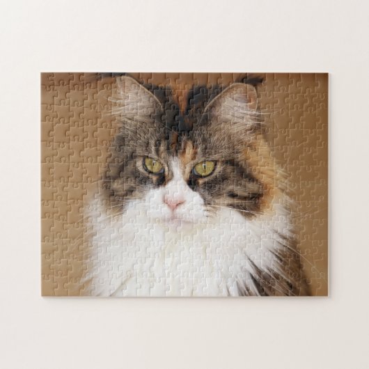 Fluffy Maine Coon Cat Legpuzzel (Horizontaal)