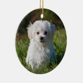 Fluffy Maltese puppy Dog Keramisch Ornament (Rechts)