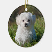 Fluffy Maltese puppy Dog Keramisch Ornament (Links)