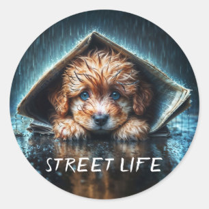 Fluffy natte puppy op zoek naar warmte en comfort ronde sticker