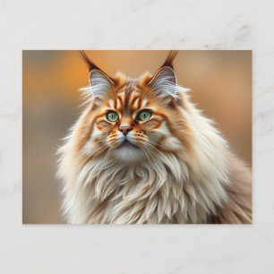 Fluffy Norwegian Forest Cat Portrait Briefkaart